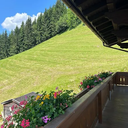 Sonnseit'n Hochmaisalm *